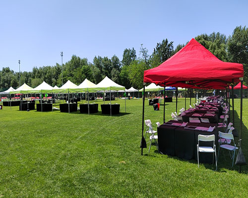 家具租赁 家具租赁