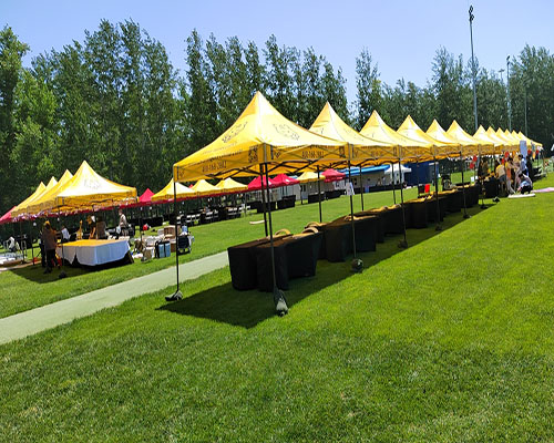 家具租赁 家具租赁